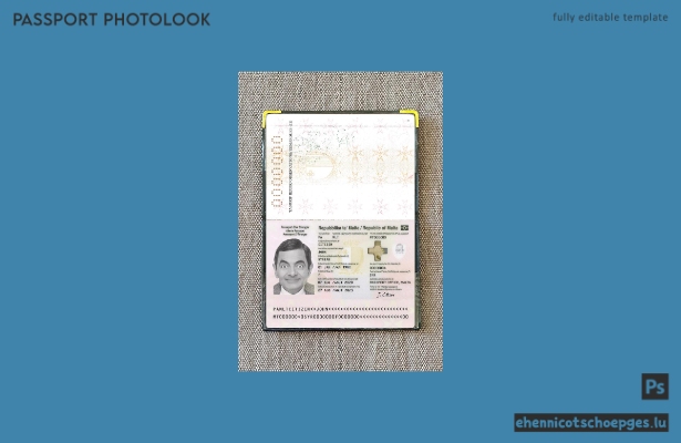 Beispielansicht des Passfotos für Malta (2020–heute)